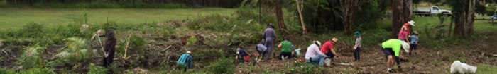 Volunteers at a Dawn Road Reserve Bushcare activity