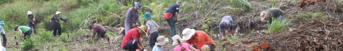 cropped-bushcare-planting.jpg