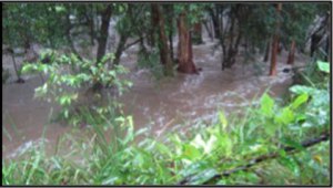 Albany Creek swollen with floodwaters in 2011