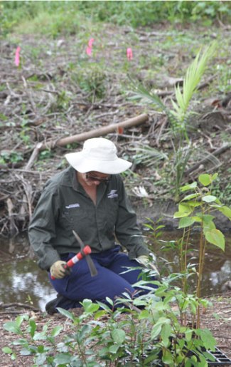 MBRC Bushcare officer Nicole Byrne prepares the ground for planting alongside a stream in the Dawn Road Reserve.