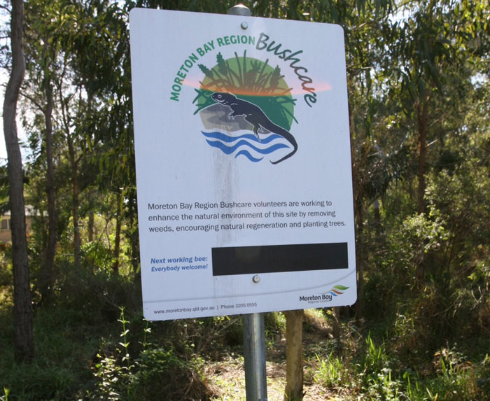 If you enter the Reserve from the south-eastern end of Fred Campbell Drive, you'll see the Dawn Road Reserve Bushcare sign, which will be updated with the next time and place to gather.