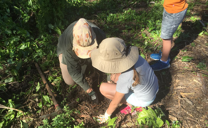 It's always important to ensure the soil around a new plant is tamped down to ensure it doesn't tip over or get washed away.