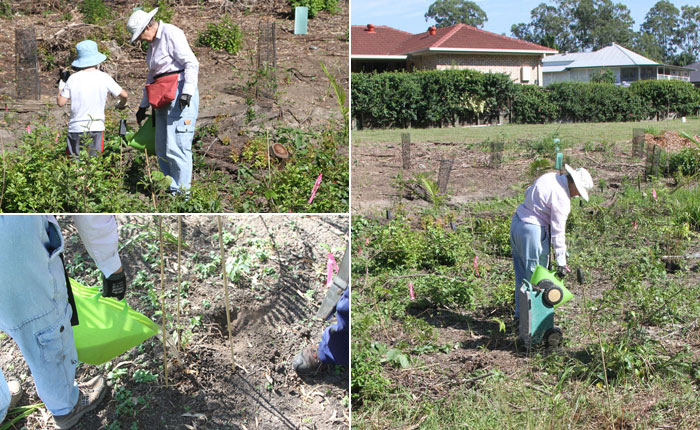 After carefully planting new species, the volunteers carted water from the stream to help the tubestock plants settle in to their new locations