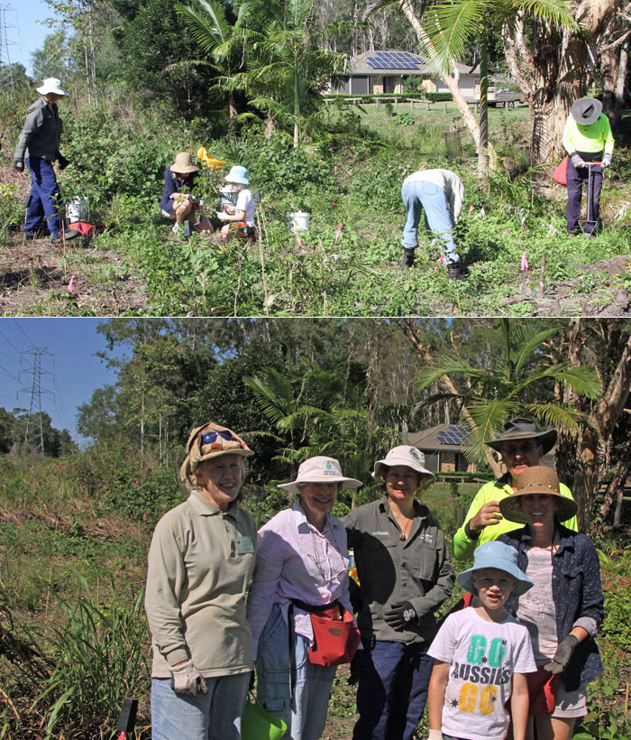 This happy band of Bushcare volunteers worked on the eastern bank of a stream running through the western edge of the Dawn Road Reserve on Sunday, March 15