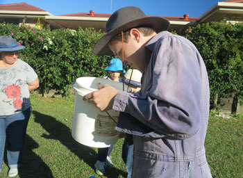 Peering into a bucket with samples of aquatic invertebrates