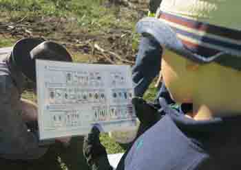 One of the student volunteers uses a handy aquatic invertebrates chart to help identify specimens collected from the stream