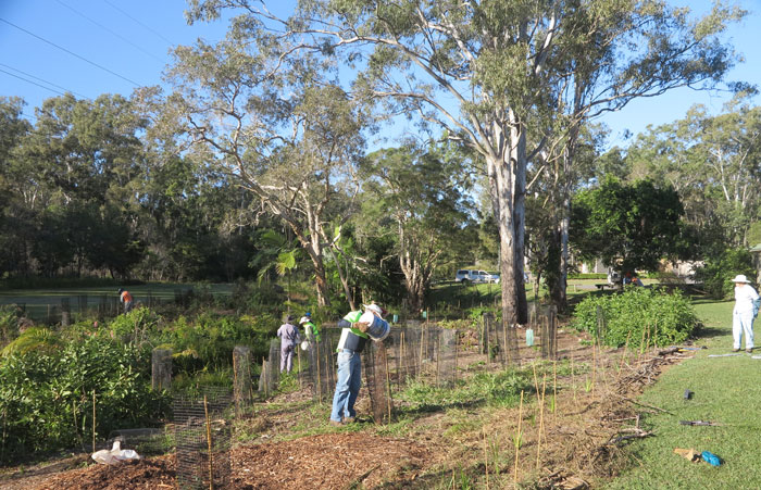 Dawn Road Reserve Bushcare volunteers check out the streamside planting