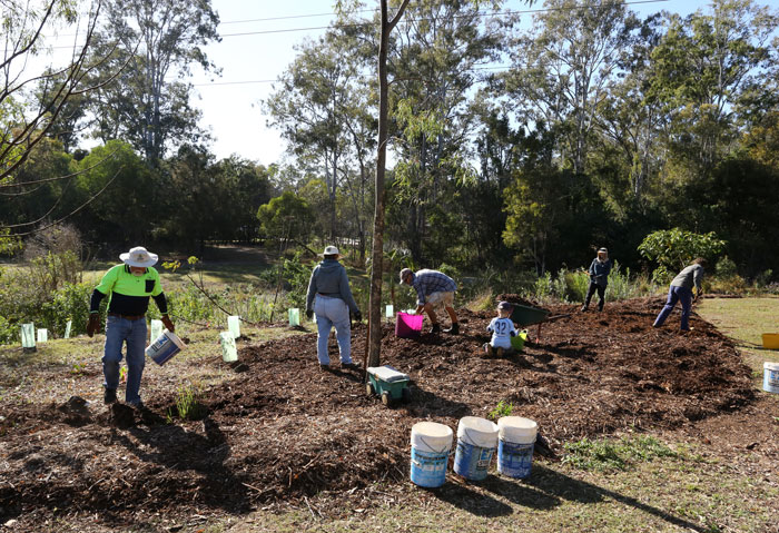 The bucket brigade help spread the mulch to protect new plantings.