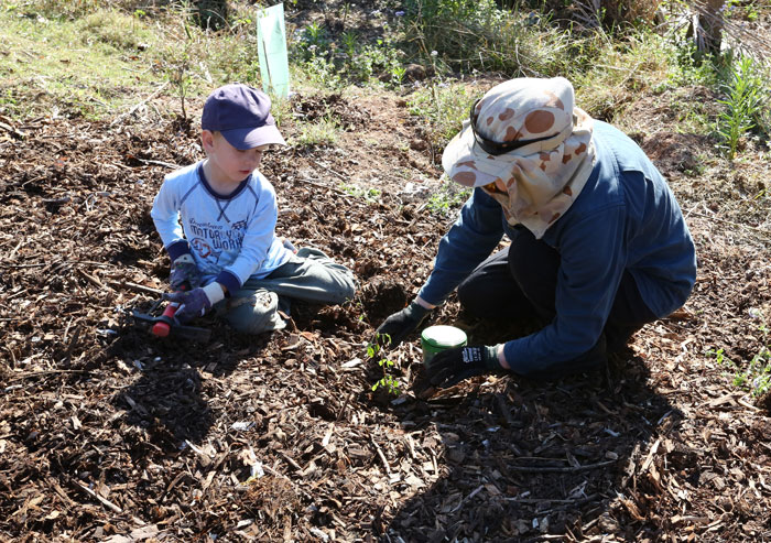 Dawn Road Reserve Bushcare leader Janet Mangan shows demonstrates how to prepare and plant revegetation species at the worksite. 