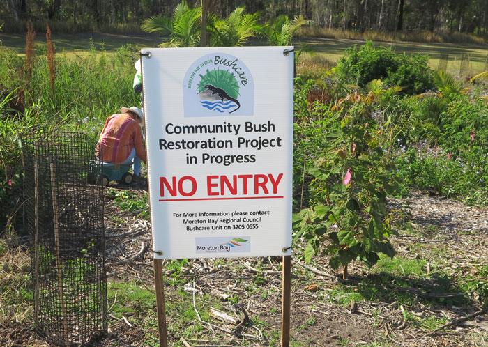 With the arrival of spring, the Dawn Road Bushcare Group finally saw signs erected in three places to warn off anyone not working on the revegetation project. This will allow the zone's introduced plants to get established.