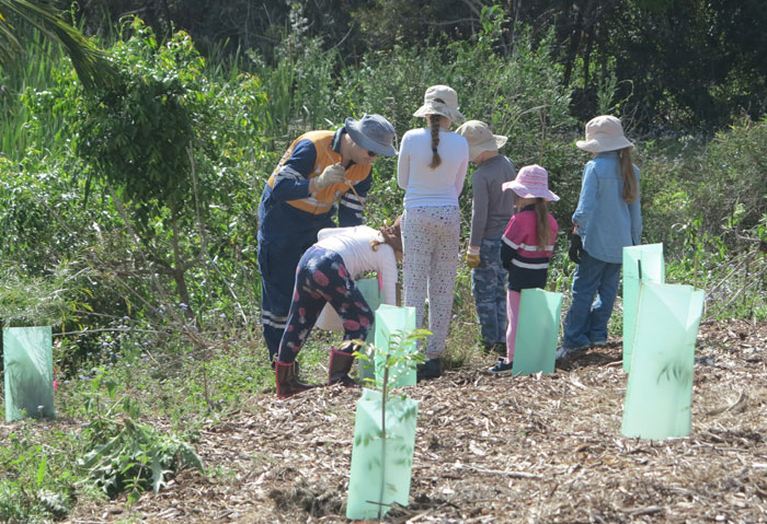 One dad and five fascinated Albany Hills State School students prepare the ground for a new plant.