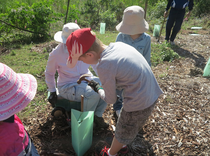 The more the merrier! Regular Dawn Road Reserve Bushcare member Alison gets a hand placing a shrub during the October working bee.