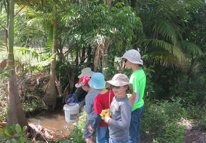 These Albany Hills State School students patiently waited their turn to collect a water sample for inspection and matching up with an identification chart.