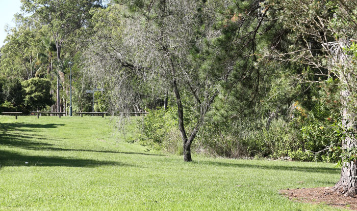 edge-of-new-revegetation-patch