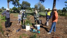 Despite the heat, the February Dawn Road Bushcare Group got down to work with lots of enthusiasm