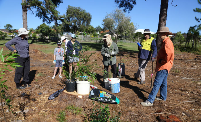 Despite the heat, the February Dawn Road Bushcare Group got down to work with lots of enthusiasm