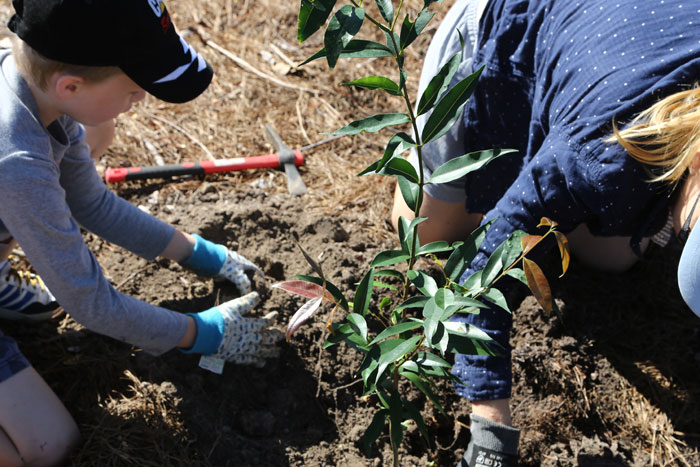 Regular volunteers Harper and his mum, Teal, take extra care replanting at the revegetation site. 