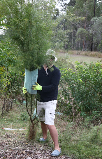 Then the task of gently raising the guard over the compressed limbs could begin.