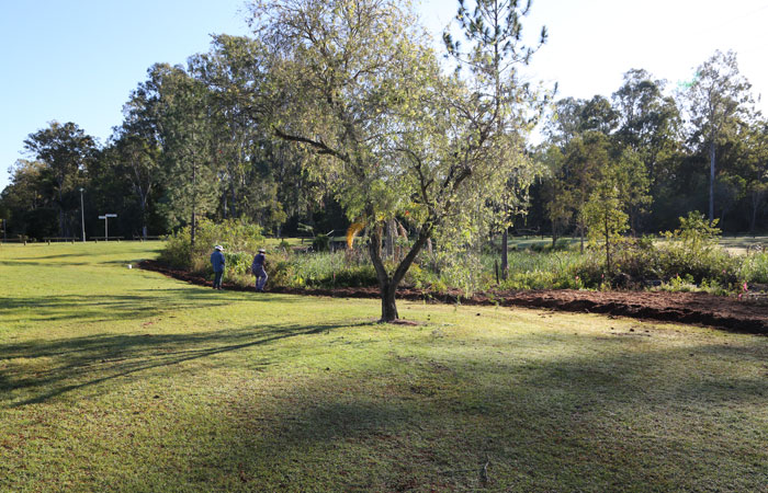 Looking north towards Fred Campbell Drive, you can now see the handiwork of the Dawn Road Reserve Bushcare group's August working bee