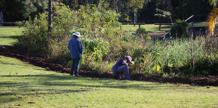 Volunteers Michael and his dad, Gary, take care of planting along the northern end of the regeneration patch
